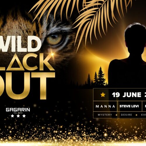 WILD BLACKOUT